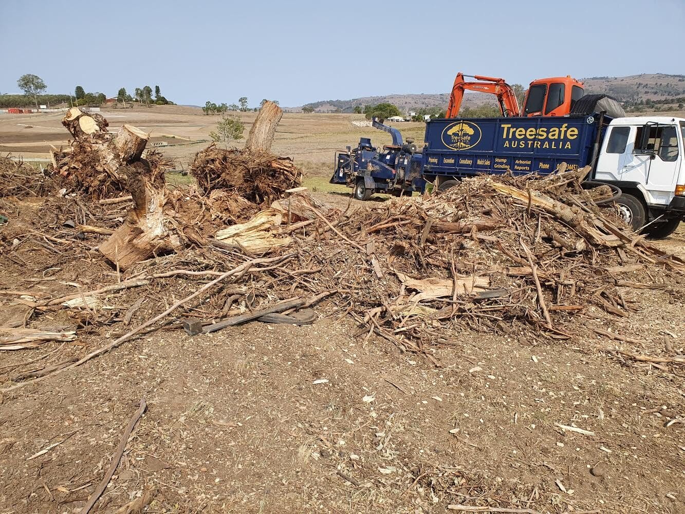 Backyard Land Clearing on the Sunshine Coast: The Safety & Compliance Checklist | Treesafe