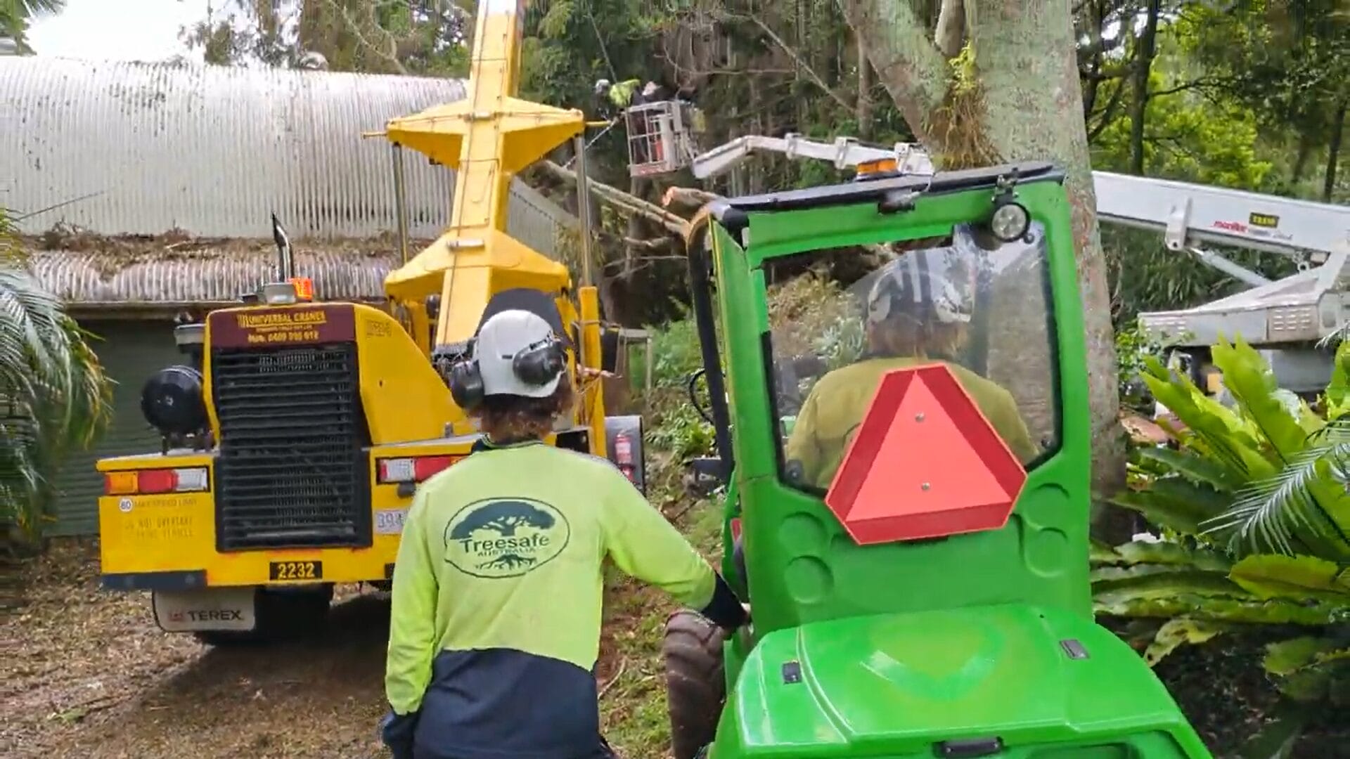 Renovating Near Trees? The Protection Plan That Saves Them (and Your DA) | Treesafe