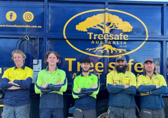 The Treesafe Australia team of arborists on the Sunshine Coast