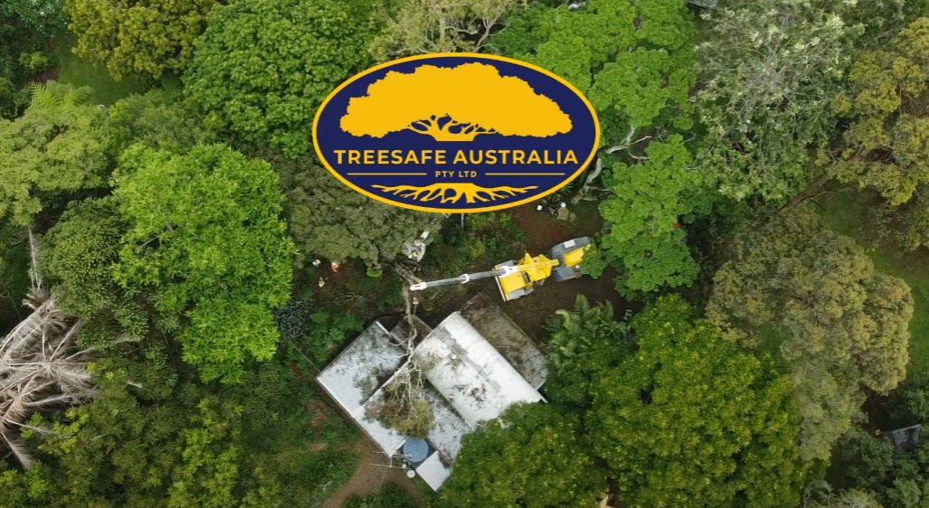 Treesafe Australia tree work video — watch on YouTube